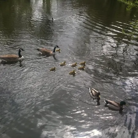 Bridgefoot Gasthuis 3*