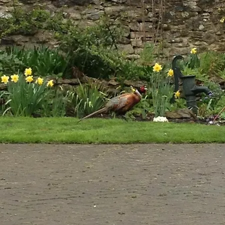 Bridgefoot 3* Pickering